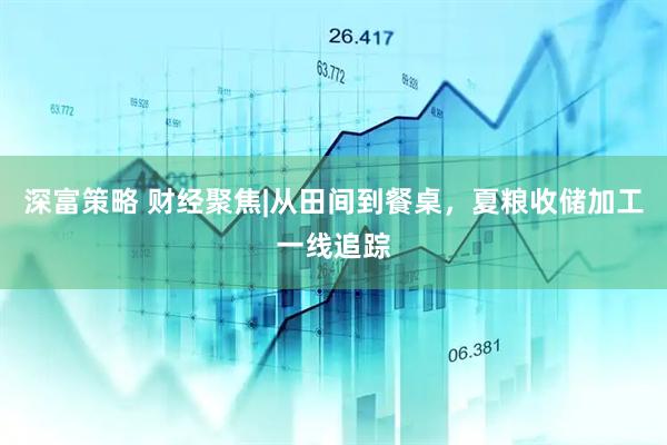 深富策略 财经聚焦|从田间到餐桌，夏粮收储加工一线追踪