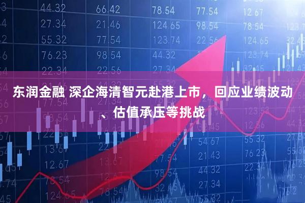 东润金融 深企海清智元赴港上市，回应业绩波动、估值承压等挑战