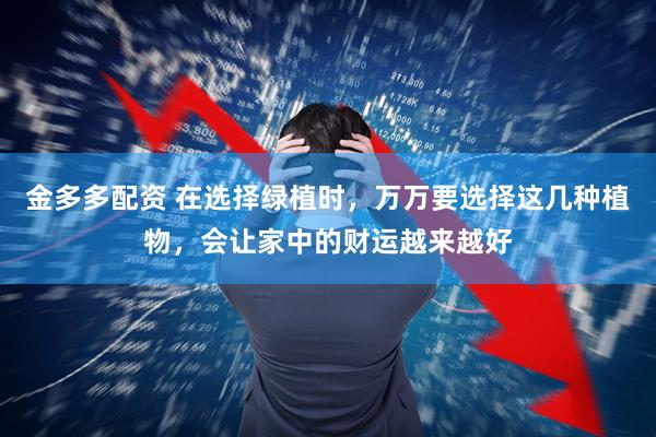金多多配资 在选择绿植时，万万要选择这几种植物，会让家中的财运越来越好
